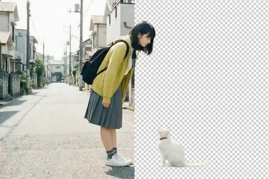 Before and after object background removal example